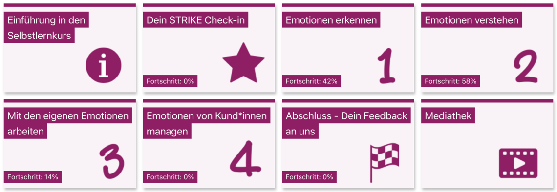 Darstellung, wie das STRIKE-Angebot funktioniert.